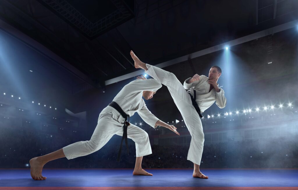 Karate vs Taekwondo