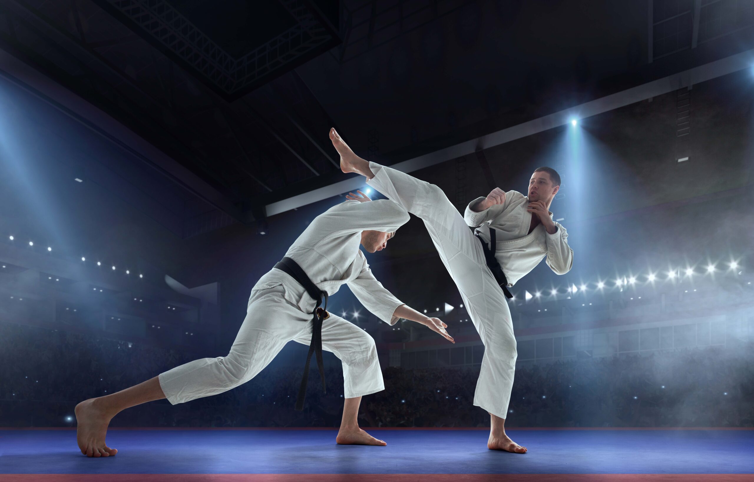 Karate vs Taekwondo: Which Martial Art Should You Actually Learn in Dubai?